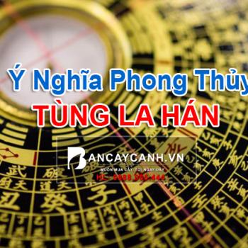 Ý nghĩa phong thủy của  Tùng La Hán|Bancaycanh.vn